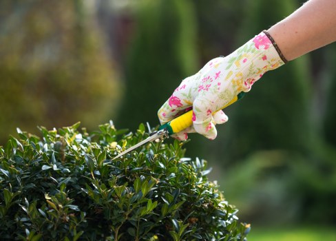 Gardener working in a small terraced garden in Clapham