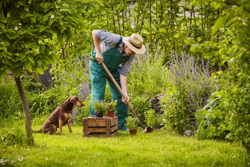 Front garden with tools and a gardener maintaining a lawn in Clapham