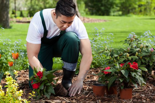 Selection of plants suitable for Clapham gardens