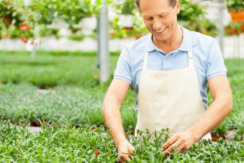 Expert pruning and landscaping services by Garden Maintenance Clapham