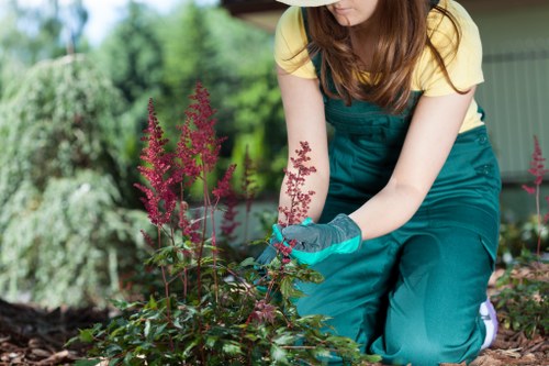 Effective lawn mowing techniques