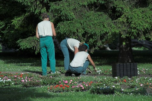 Seasonal garden preparation in Clapham with spring planting and vibrant flowers