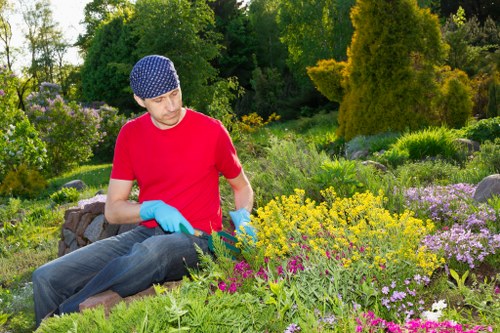 Eco-friendly landscaping practices in a Clapham outdoor space