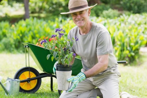 Clean property after tree services