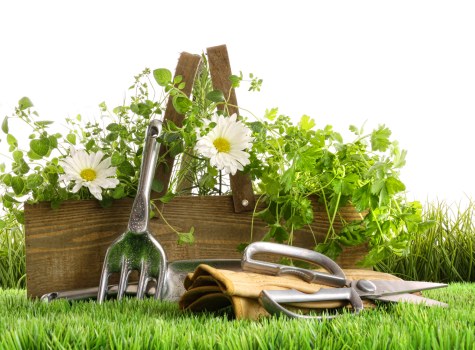 Seasonal garden maintenance in Clapham
