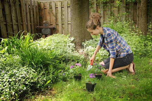 Lush garden beds with native plants in Clapham