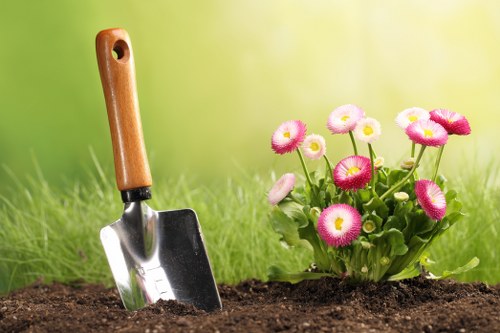 Various landscaping services offered in Clapham