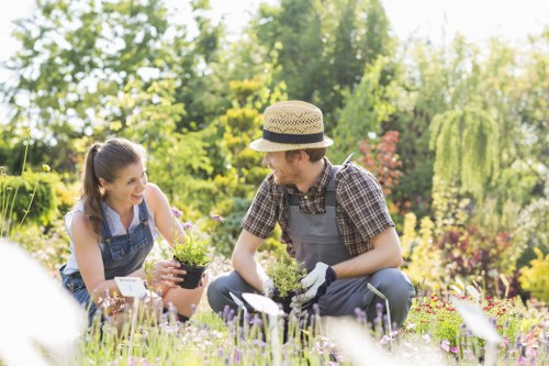 Eco-friendly decking options in Clapham