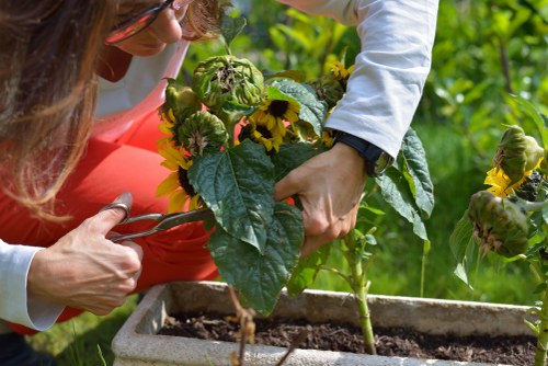 Trained gardener wearing PPE operating garden machinery safely