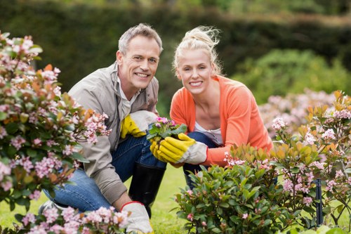 Lawn mowing in a terraced house garden in Clapham